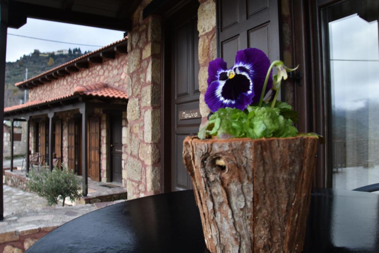 Paliokastro Guesthouse Synikia Mesi Trikalon Ngoại thất bức ảnh